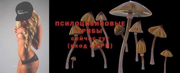 эйфоретик Абаза