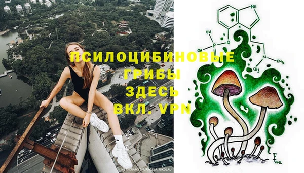 a pvp Абдулино