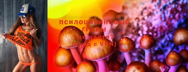 a pvp Абдулино