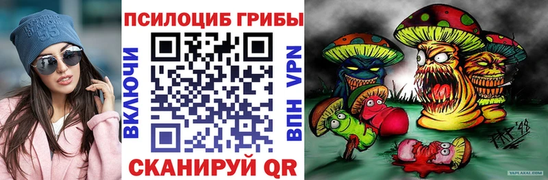 блэк спрут онион  сколько стоит  Стрежевой  Псилоцибиновые грибы Psilocybe 